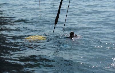 Fair water cap Installation