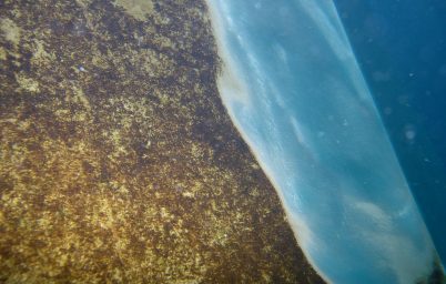 Before and after polishing