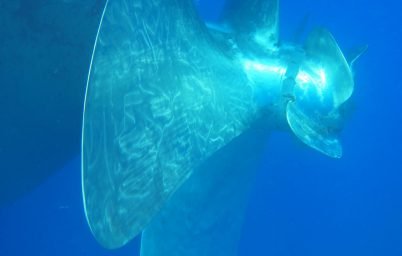 Propeller after polishing