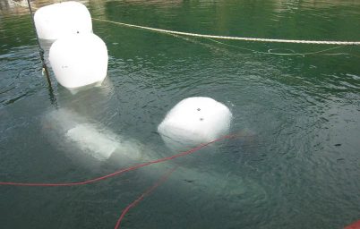 ezgif.com-gif-maker (2)