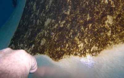 Before and after polishing