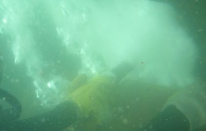 לינום 09 אשדוד 117