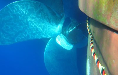 Propeller after polishing